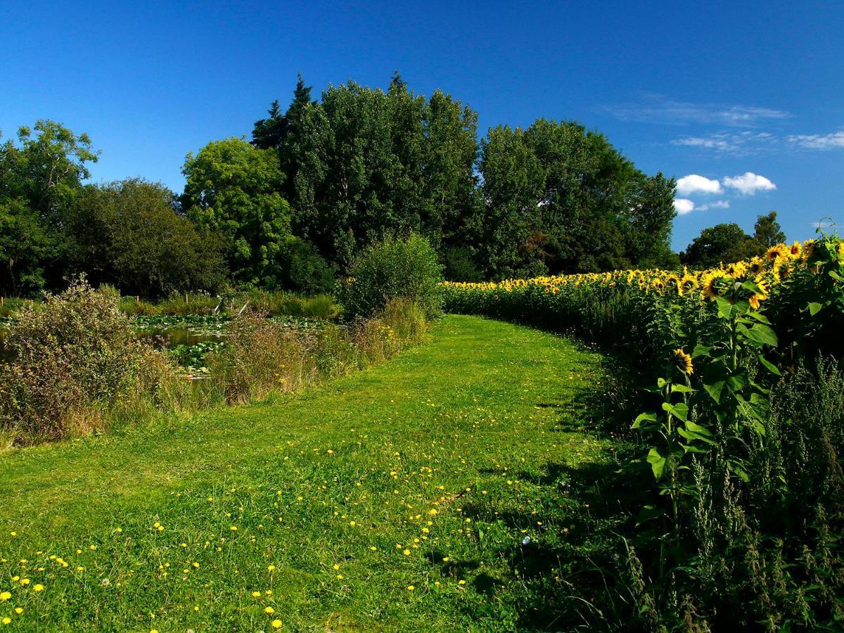 Birch Lodge Newton Abbot Esterno foto